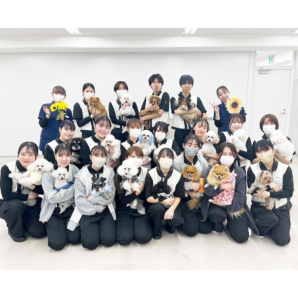 モデル犬の写真撮影会PART②